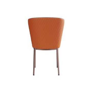 Modern Dining Chair Set of 2