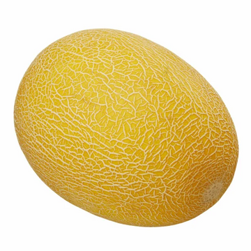 Golden Hami Melon