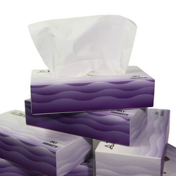 Zornits Professional 2-Ply Facial Tissues