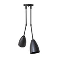 2-Light Brass Sputnik Dining Chandelier in matt black
