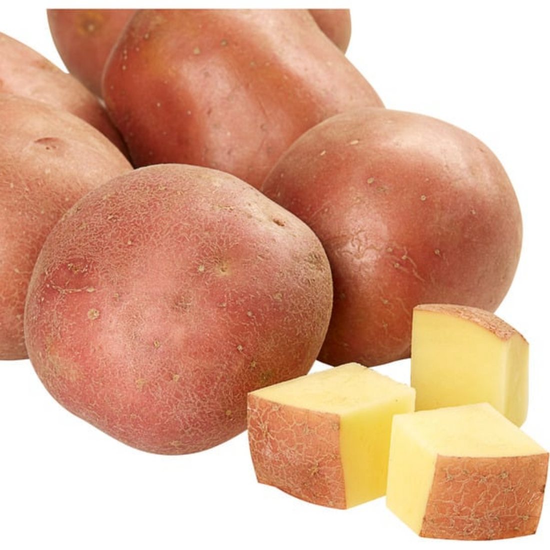 Small Red Potatoes, 10 lbs