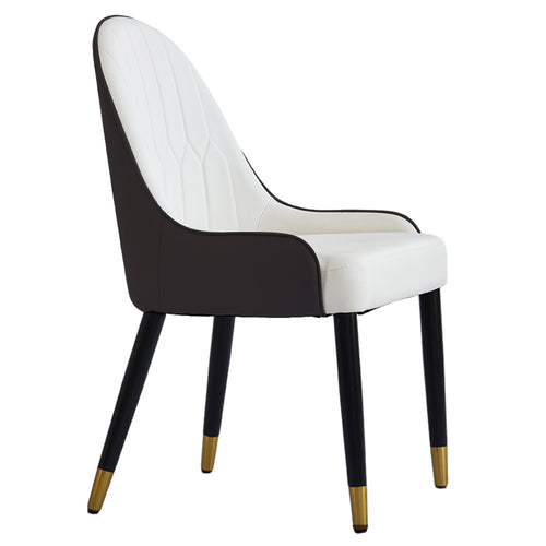 Mid-Century Dinner Chairs for Kitchen, Dining, Bedroom, Living Room Set of 2