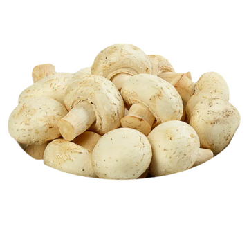 Organic Premium Large White Mushroom Organic White Mushrooms, 24 oz