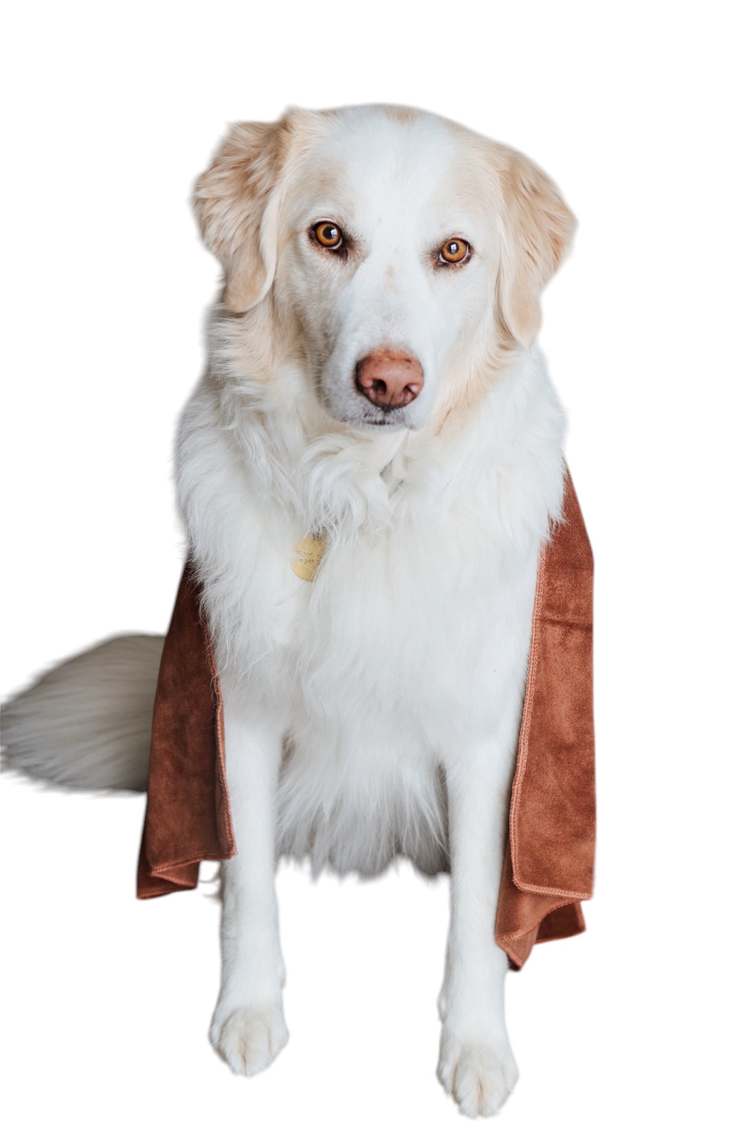 Zornits™ Dog Towels for Drying Dogs