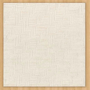 Soft and Cozy Shag Rug