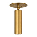 Adjustable Brass Ceiling Spotlight in brushed brass