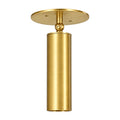Adjustable Brass Ceiling Spotlight in raw brass