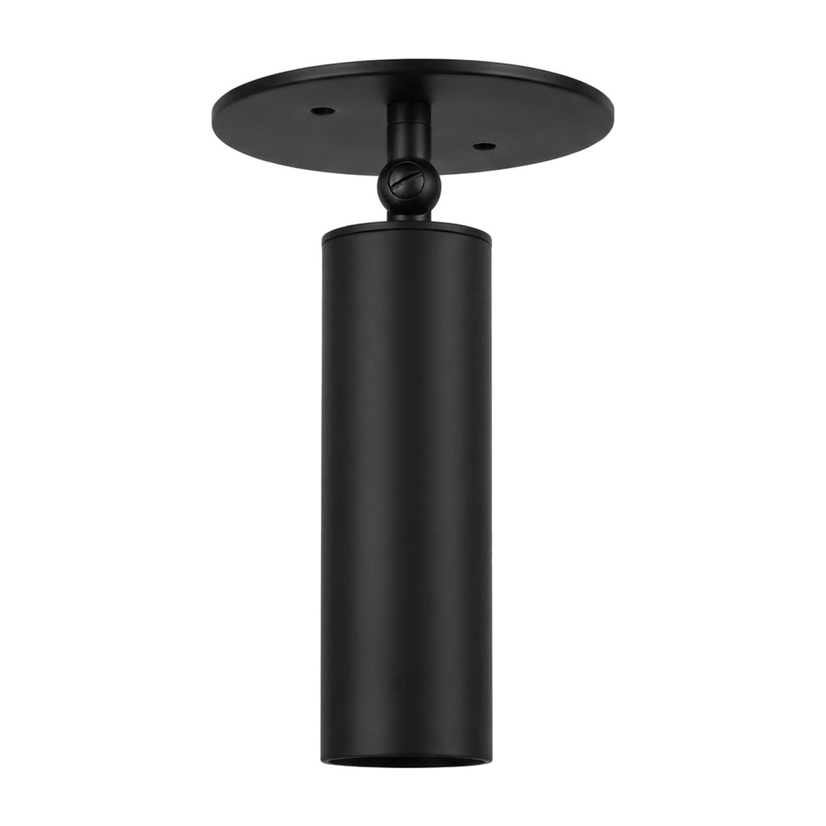 Adjustable Brass Ceiling Spotlight in matt black