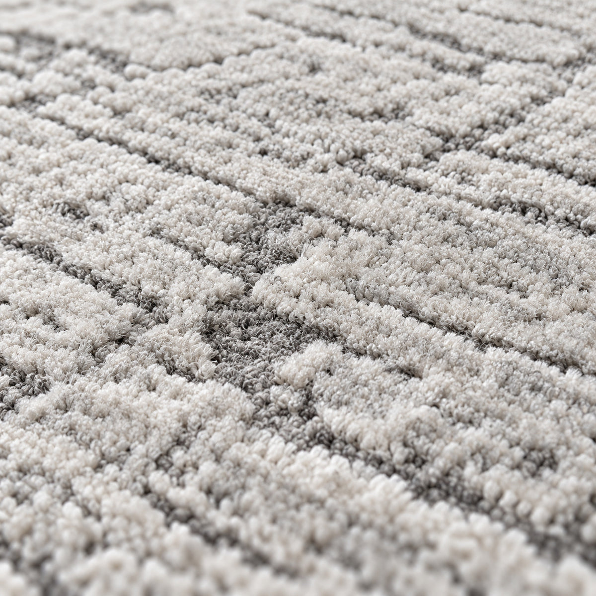 Calluna, close up of the texture