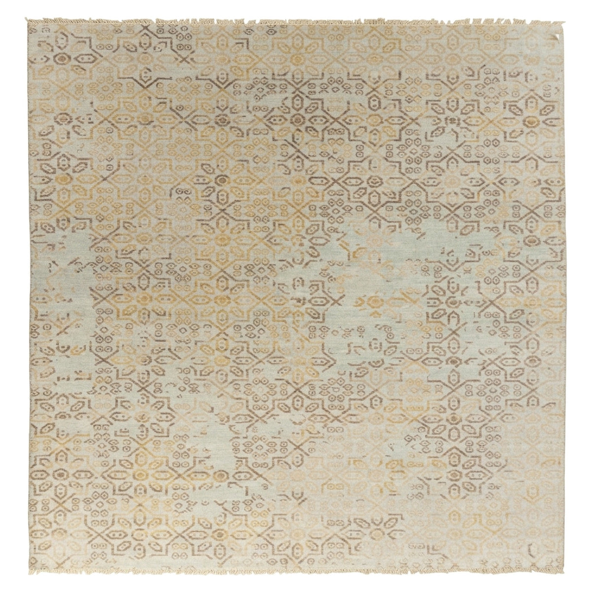 Floral Persian Oriental Area Living room Rug, full view on a white background