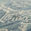 Mika Vintage Transitional Rug, close up of the texture