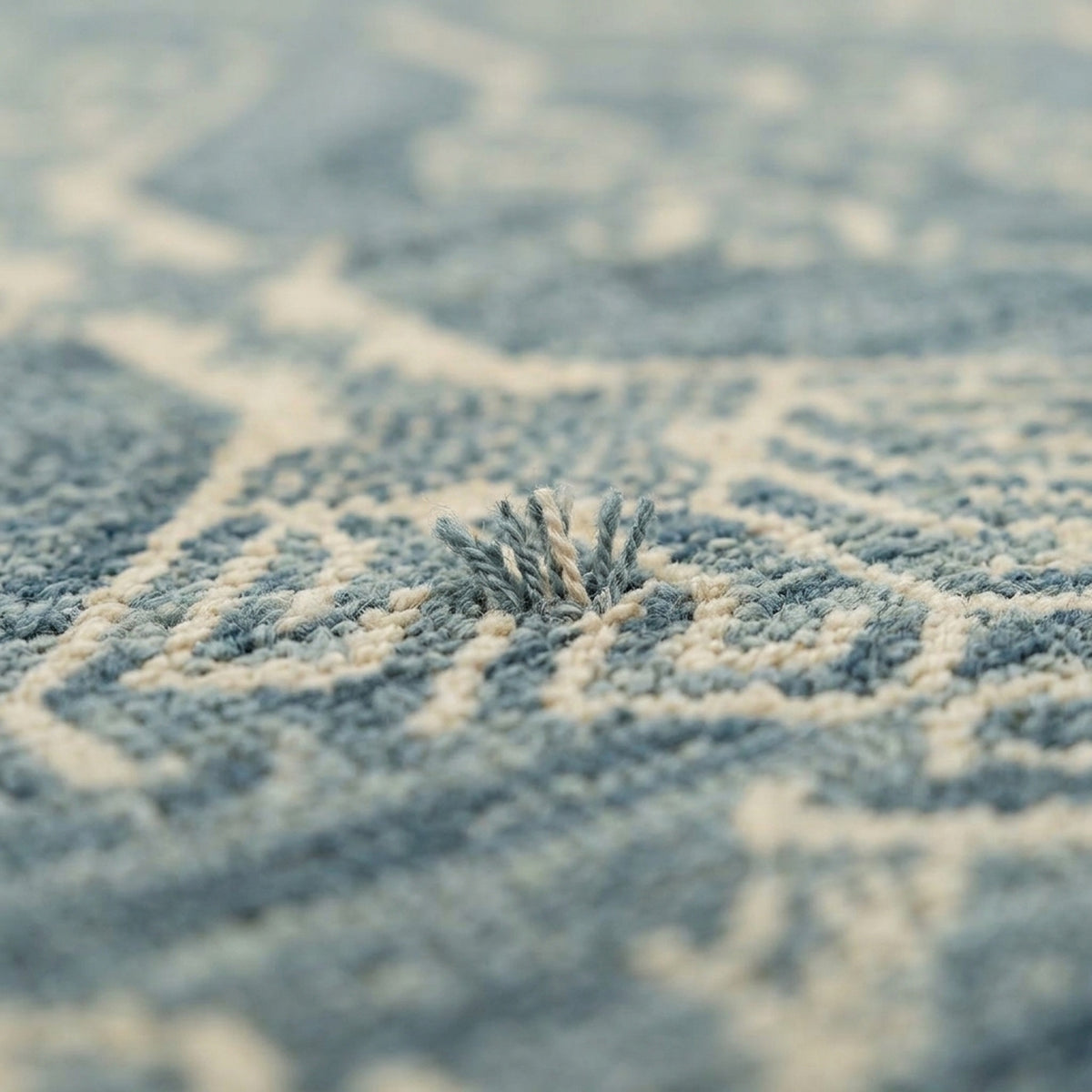 Mika Vintage Transitional Rug, close up of the texture