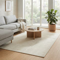 Modern Boho Chic Rug in a living room