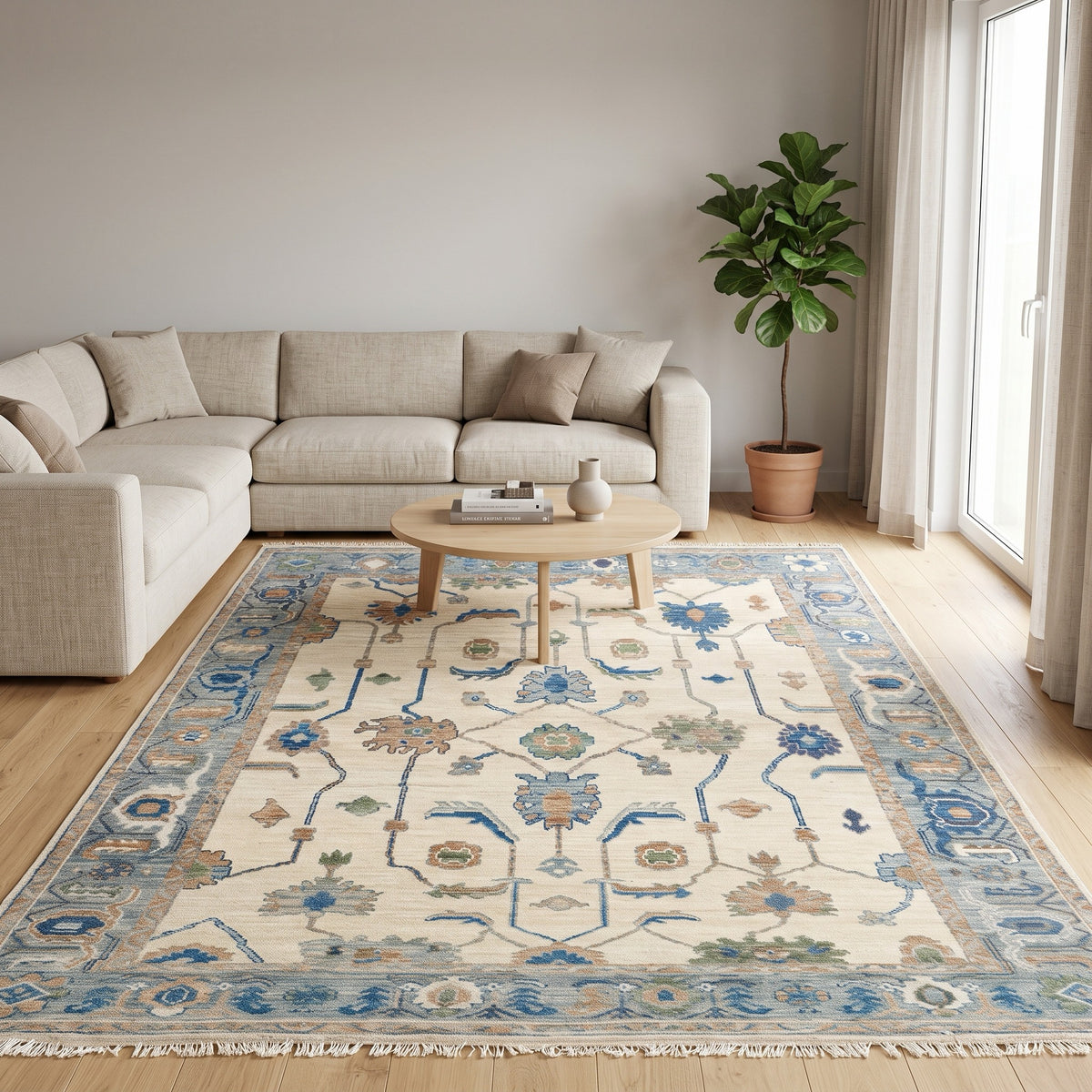 Modern Oushak Rug in a living room