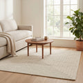 Monochrome Striped Rug in a living room
