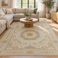 Muted Hand knotted Mamluk Design Rug in a living room