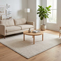 Neutral Toned Area Rug in a living room