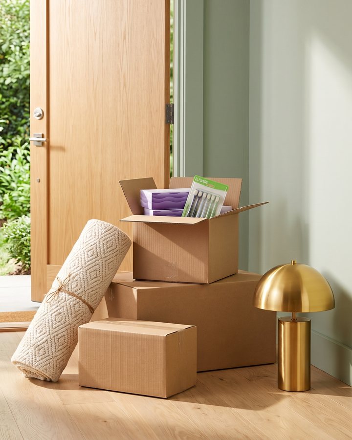 Delivery boxes with Zornits tissues and toothbrushes, a rolled cream rug and a brass lamp inside a front door